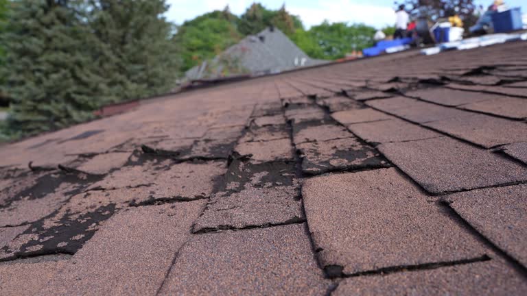 Best Roofing for New Construction  in South Bend, WA
